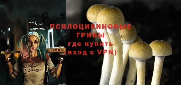 амфетамин Алексеевка